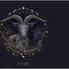 ​Capricorn's disciplined rowing
