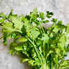 10 creative ways to use coriander leaves | Times of India