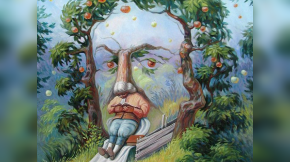 Difference between optical illusions and brain teasers