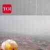 Article image for: PM Narendra Modi arrives in <i class="tbold">ayodhya</i> for Ram Mandir Pran Pratishtha