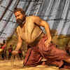 Article image for: '<i class="tbold">malaikottai valiban</i>'