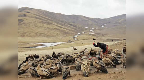 Sky Burials in Tibet: