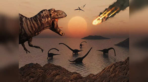 Dinosaurs once ruled the Earth