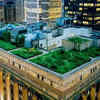 Article image for: Chicago, situated on the shores of Lake <i class="tbold">michigan</i>