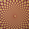 ​Colors, shapes, and sizes galore