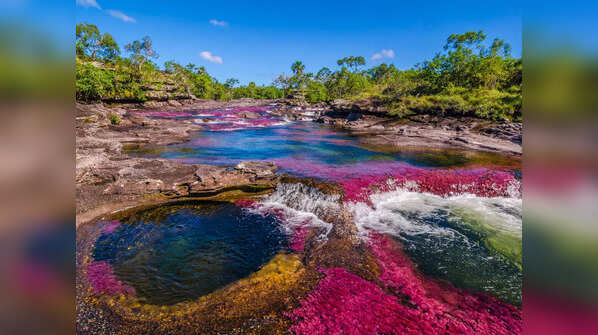The beautiful river of five colours