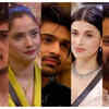 The top 5 finalist
