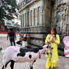 Article image for: Bhumi Pednekar seeks blessings at Kamakhya Devi Mandir with her sister Samiksha