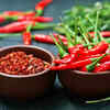 Article image for: Indian chillies that are renowned for their <i class="tbold">gi tag</i>s