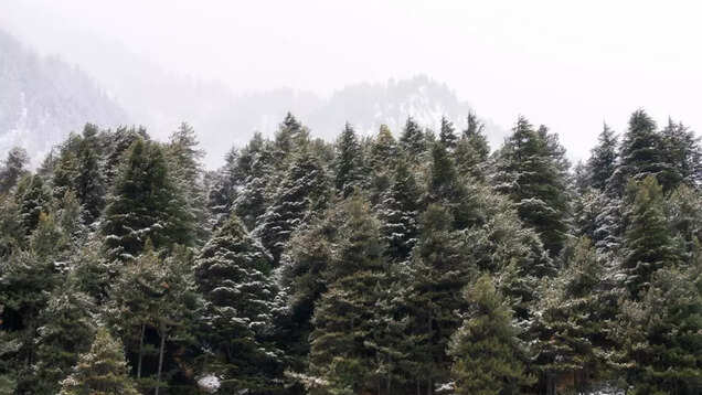 J&K: Upper reaches and Gulmarg finally receives first snowfall of the season
