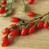 ​​Antioxidants​