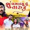 Article image for: Listen To The New Gujarati Music Audio For Shu Bagadyu Tu Taru Main By Bechar Thakor