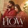 Article image for: Discover The New Punjabi Music Video How By <i class="tbold">gurneet dosanjh</i>