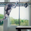 Parkour Robots (Atlas by Boston Dynamics)