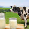 Milk