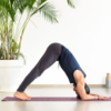 It is effective for those having asthma issue