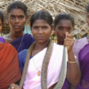 Article image for: <i class="tbold">irula tribe</i> (Tamil Nadu)