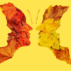 What are romantic optical illusions?