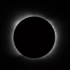 February 10: New Moon