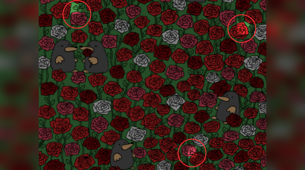 Look closely and you will find all three dispersed