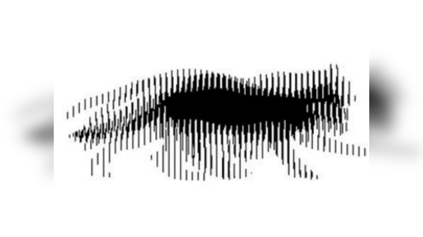 Is camouflage an optical illusion?