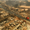 Destruction of iconic Botanical Garden