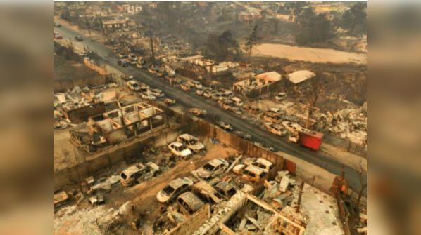 Destruction of iconic Botanical Garden