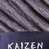 Article image for: <i class="tbold">kaizen</i>
