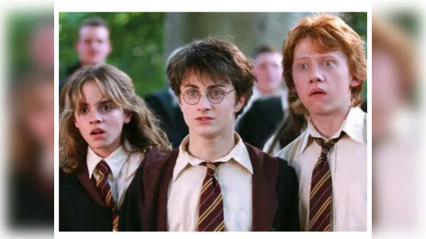 Harry Potter franchise