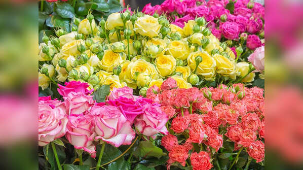Indian recipes made using rose petals