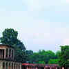 Article image for: <i class="tbold">school</i>ing