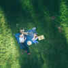 ​​Park picnic​