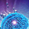 Article image for: <i class="tbold">generative ai</i> for Images