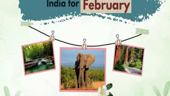 Best national parks in South India for February