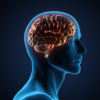 Can excessive screen time weaken the brain?
