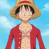 Article image for: <i class="tbold">luffy</i>