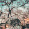 Article image for: Self-reflect