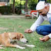 ​​Introduce new foods gradually​