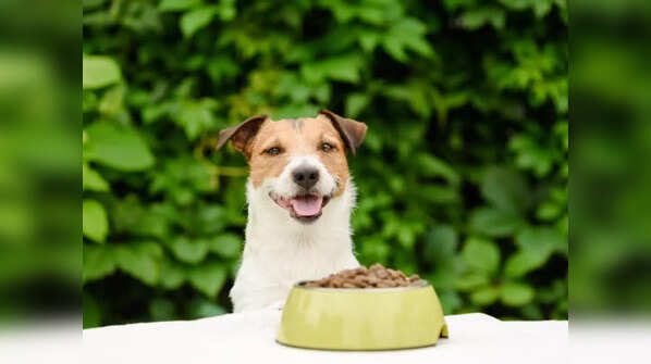 Consider your pet's nutritional requirements