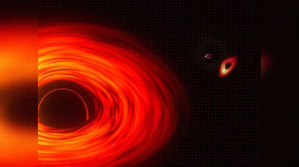 Black Holes