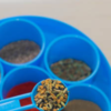 Article image for: Panch phoran is a blend of 5 spices