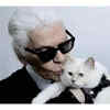 Choupette: Karl Lagerfeld's luxurious legacy