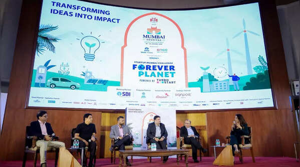 Discussing growth of sustainable startups