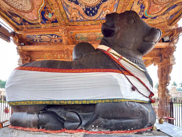 Nandi