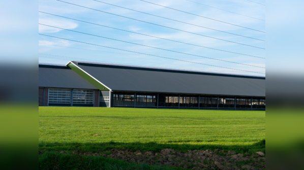 Mudanjiang City Mega Dairy Farm, China