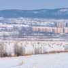 Mudanjiang City Mega Farm, China