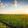 Article image for: Largest farms in the world
