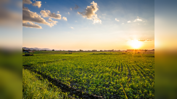 Largest farms in the world