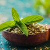 ​Enhances lipid profile