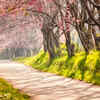 Mono-no Aware: The awareness about life's impermanence 